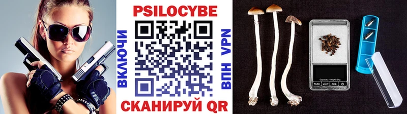 Купить закладки  Спас-Клепики  Галлюциногенные грибы MAGIC MUSHROOMS 