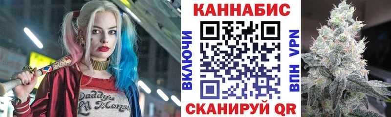 Купить закладки  Спас-Клепики  Конопля Amnesia 
